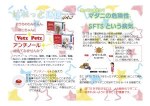 ぱれっと通信Vol.26 2025年10月号